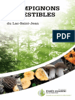 Guide Des Champignons Comestibles Du Lac-Saint-Jean - Version 2