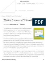 What is Primavera P6 Visualizer