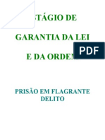 Prisão em Flagrante Delito