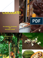 Raiul Ciocolatei - Prezentare PowerPoint