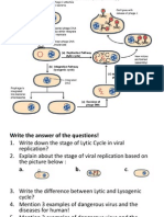 Virus Life Cycle