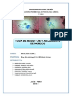 Informe Hongo