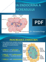 Insulina PDF