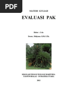Download DiktatEvaluasiPAKbySerdiPaundananSN246764705 doc pdf