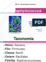 Staphylococcus na pecuária