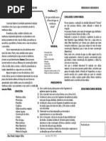 Relatório 2 - Pétalas