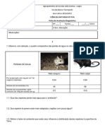 Ficha Avaliação Diagnóstica 8ºPCA