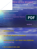 Protectores de La Mucosa PDF