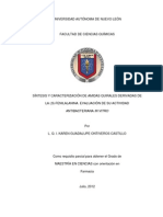 Amidas PDF