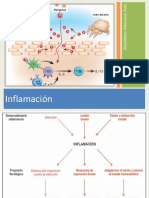 Inflamación y sus mediadores en