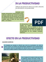 Efecto en La Productividad