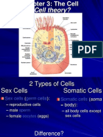 Ch 3 - Cell Level of Organization Part