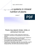 Agua y Nutricion Mineral_Lecture 7 2