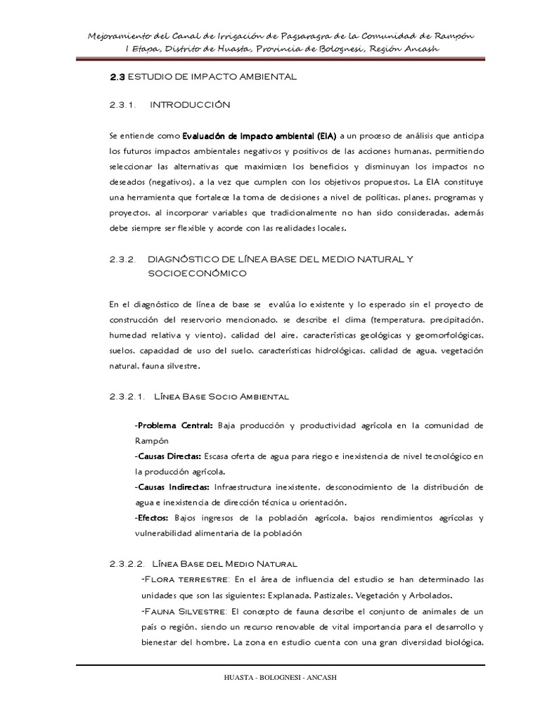 Impacto Ambiental Canal Irrigación Rampón | PDF | Riego | Entorno natural