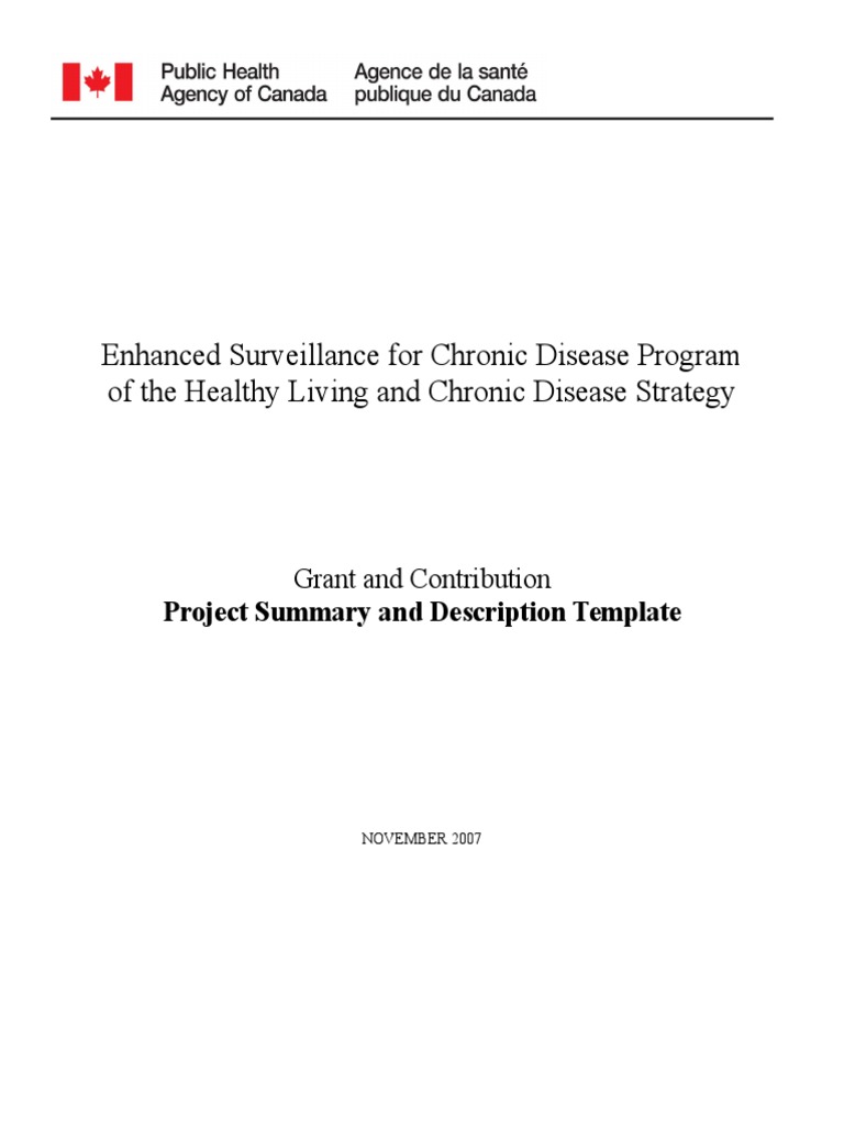 5-Project Summary and Description Template | PDF