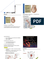 Fisiologia Cardiaca