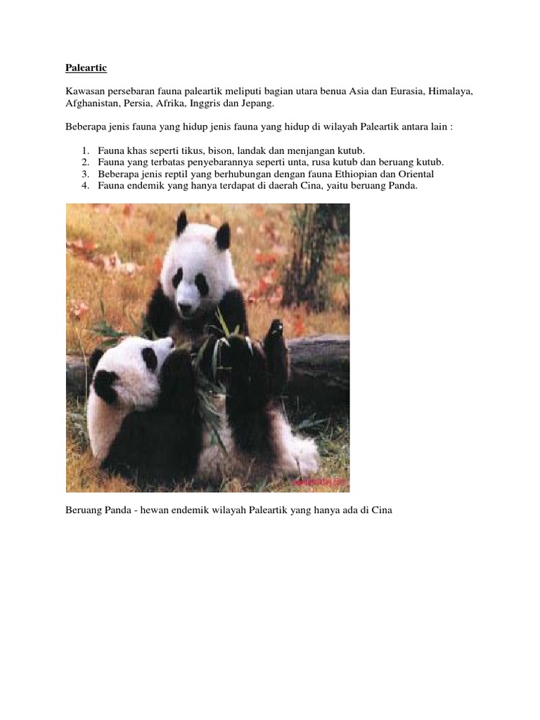 Unduh 68 Gambar Hewan Ethiopian Terbaik HD