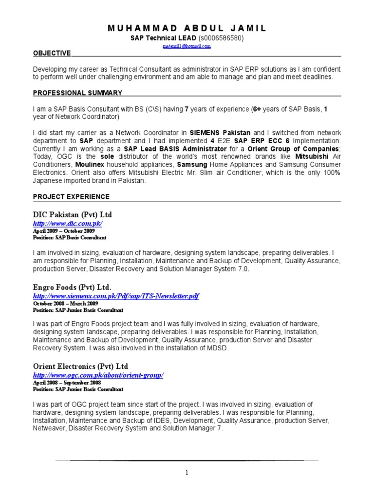 Sap Basis Lead PDF Oracle Database Digital Technology