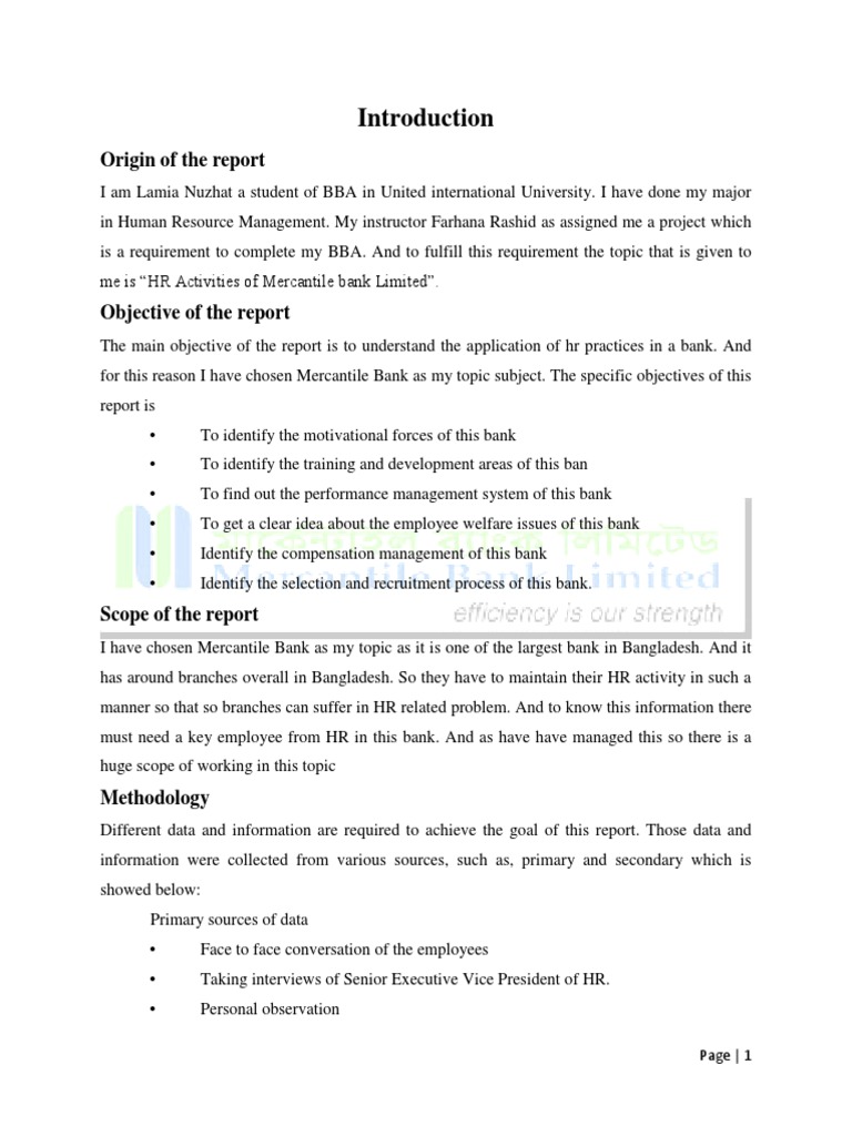 HR Practices in Mercantile Bank | PDF | Performance Appraisal | Recruitment