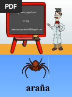 Significado y Significante