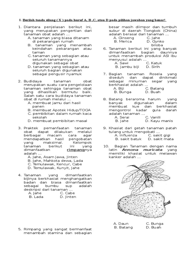 37++ Soal essay tentang tanaman obat info