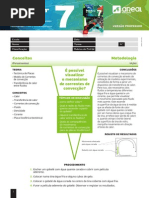 Ae Dt7 Ficha Trabalho Professor