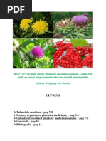 Recoltarea, uscarea si pastrarea plantelor medicinale - Banu Ioana.docx