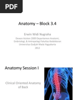 Download Clinically Oriented Anatomy BLOK 34 by kadibha SN246916641 doc pdf
