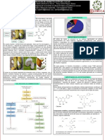 Fermentación Del Cacao