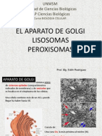 BioCel AGolgi y Lisosomas