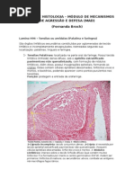 Resumo de Histologia (LMF- Imunologia) 