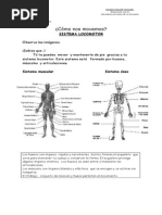 Guía Sistema Locomotor
