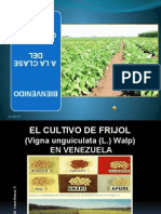 Clase de Cultivo de Frijol (Vigna Unguiculata (L.) Walp) en Venezuela