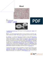 Human Blood Smear