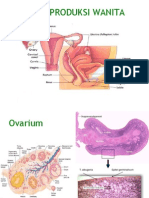 Sistem Reproduksi Wanita