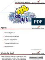 Big Data Hadoop Training by Easylearning Guru