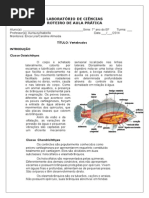 Roteiros de Vertebrados 7 Ano