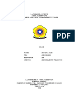 Download 1 Pengaruh Aktivitas Terhadap Denyut Nadi by Kurnia Sari SN246984817 doc pdf