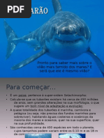 tubarão