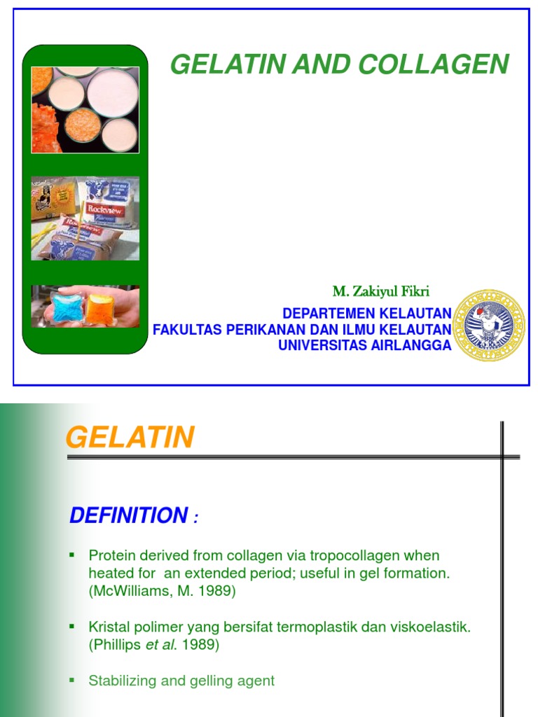 Gelatin and Collagen Gelatin Collagen