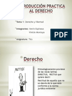 Introducción Practica Al Derecho