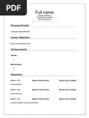 Word Blank CV Template Example 15