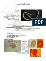 Ascaris Lumbricoides PDF