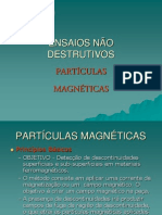 Particulas Magneticas