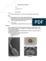Echinococcus granulosus.pdf