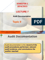 Audit Documentation