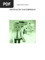 MOTIVAÇÃO NAS ORGANIZAÇÕES