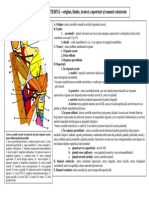 LP14 Sem2 Burcin PDF