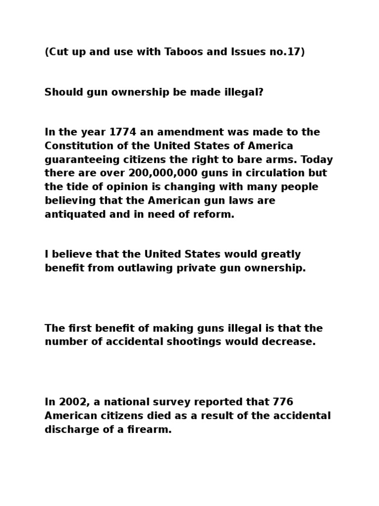essay on the gun debate