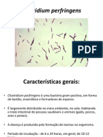 Aula 2 Micro - Clostridium e Micobactéria